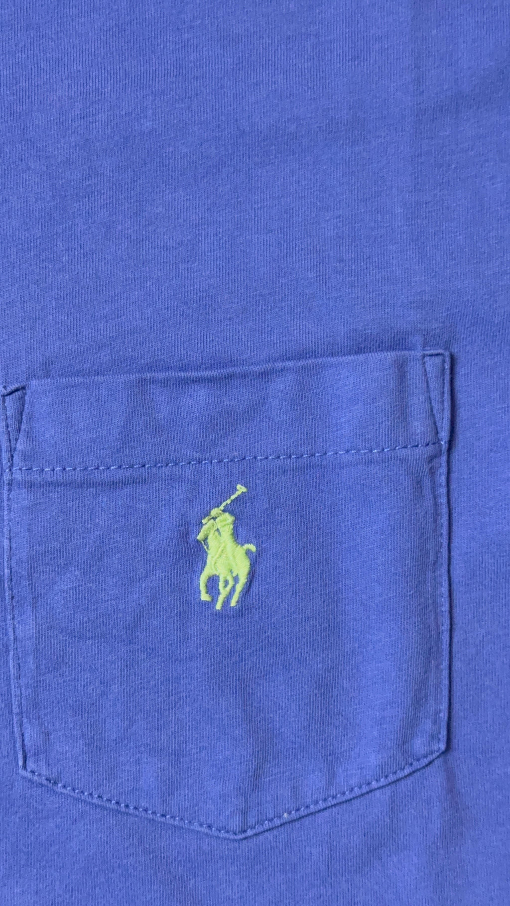 Polo Ralph Lauren Blaues T-Shirt (L)        *Gebraucht - Ausgezeichneter Zustand